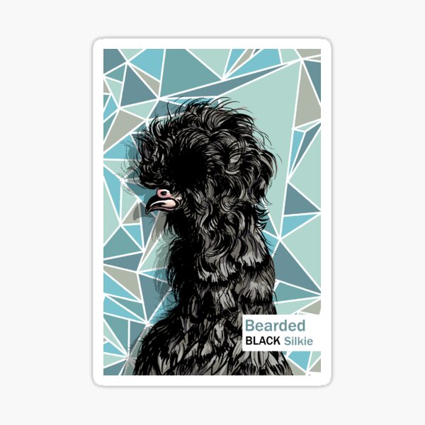 Bearded Black Silkie Sticker