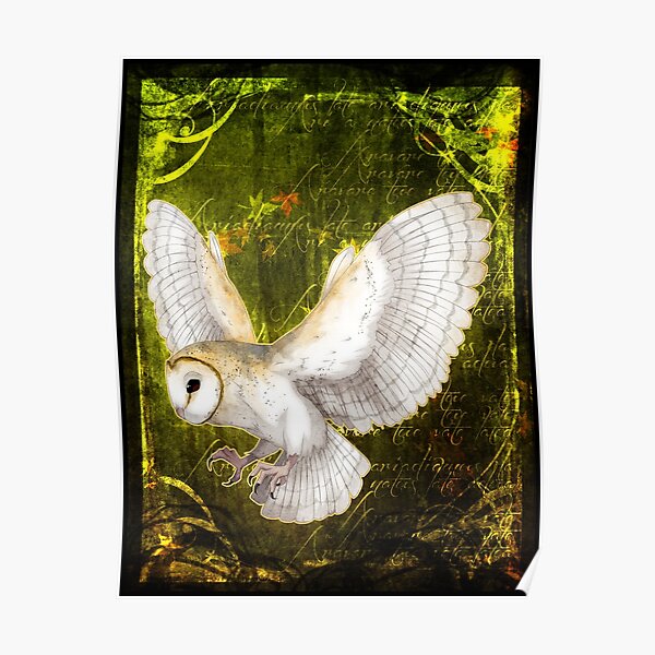 Barn Owl Poster