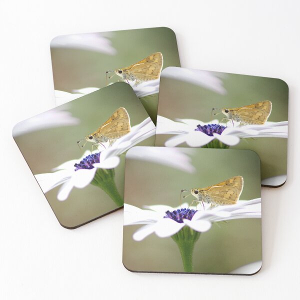 Item preview, Marguerite butterfly designed and sold by Penny Kittel.