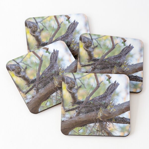 Item preview, Tawny Frogmouth sits the nest designed and sold by Peter Doré.