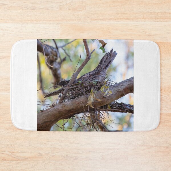 Item preview, Tawny Frogmouth sits the nest designed and sold by Peter Doré.