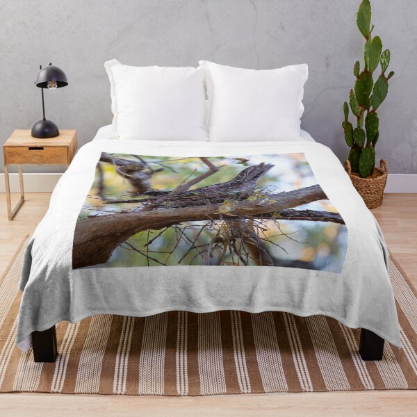Item preview, Tawny Frogmouth sits the nest designed and sold by Peter Doré.