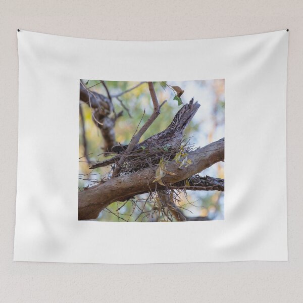 Item preview, Tawny Frogmouth sits the nest designed and sold by Peter Doré.