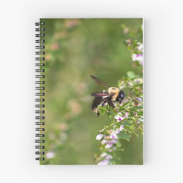 Item preview, Busy Bee designed and sold by Ollivrosa.