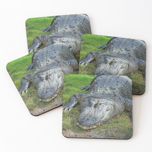 Item preview, Gator in Davie designed and sold by Michiale.