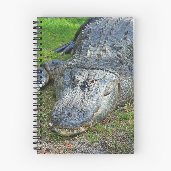 Item preview, Gator in Davie designed and sold by Michiale.