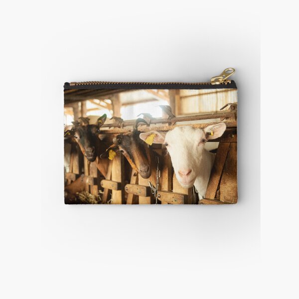 Item preview, White goat watching designed and sold by FotoMahieu.