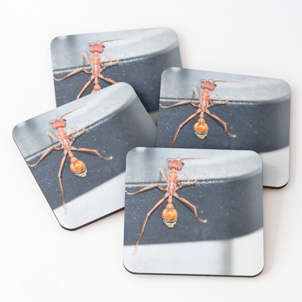 Item preview, Inquisitive Ant designed and sold by imaginethis.