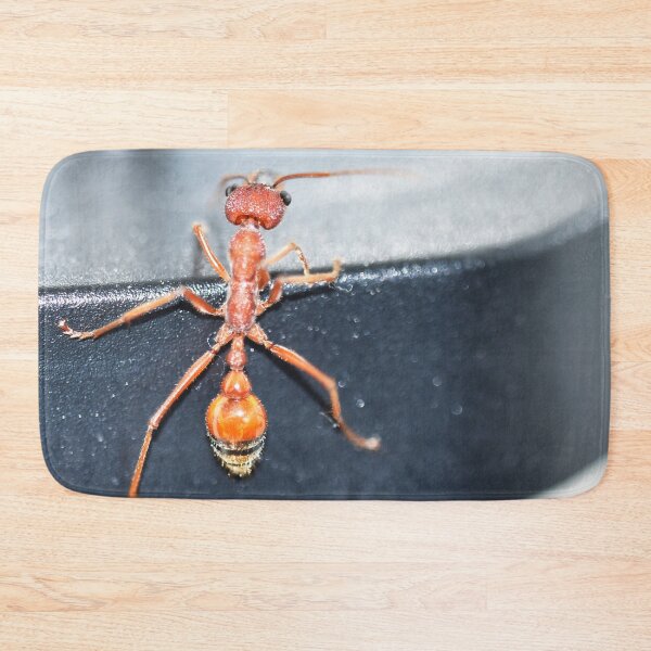 Item preview, Inquisitive Ant designed and sold by imaginethis.