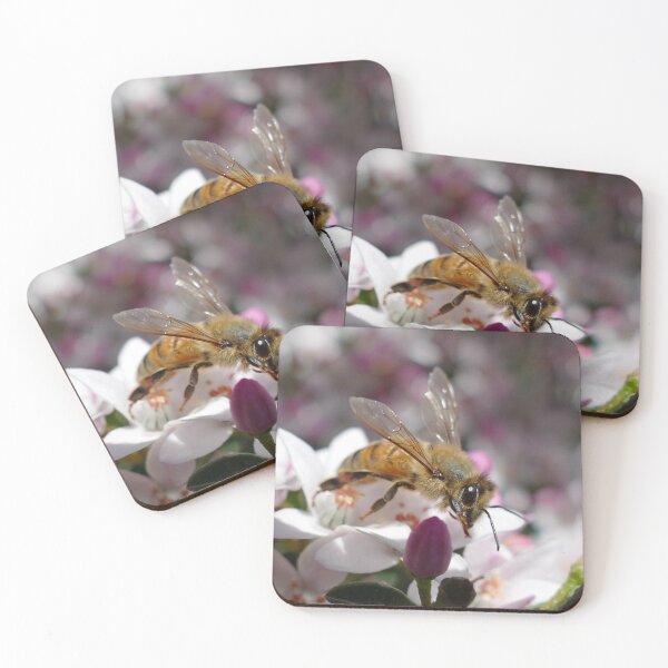 Item preview, Honey bee on a flower. Collecting nectar. Bee set #4 designed and sold by RankAmateur.