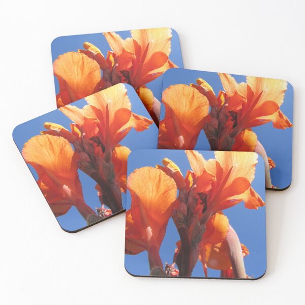 Item preview, Reach for the sky - Canna Lily designed and sold by joshuarainbird.