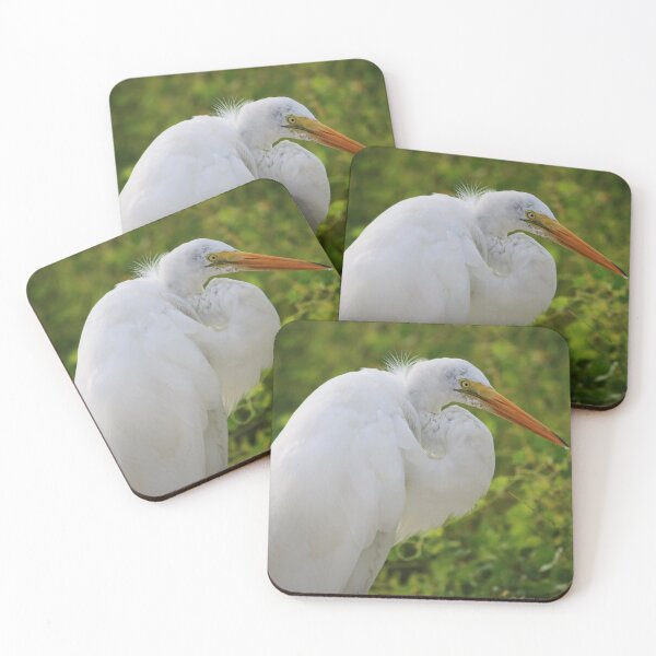 Item preview, Live for Today designed and sold by Michiale.
