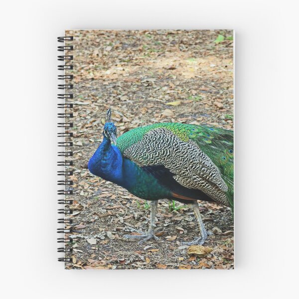Item preview, Colors of Beauty designed and sold by Michiale.