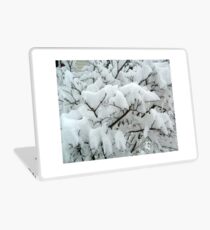Tiny Branches Covered In Snow Laptop Skin