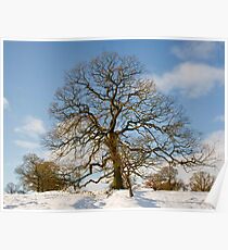 Winter Snow Scene Poster
