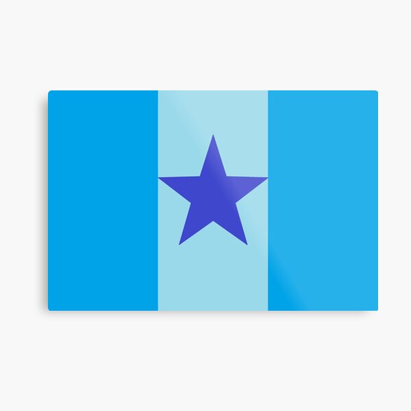 Star Flag In Blue Metal Print
