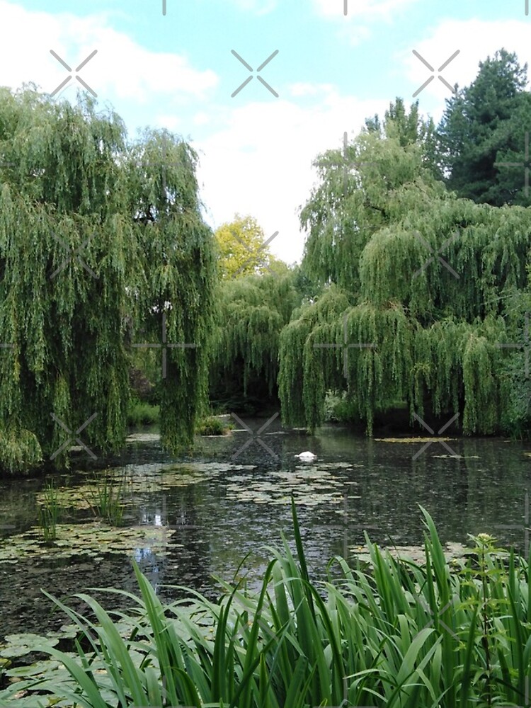 The Water Garden by MikeHawkinWorld