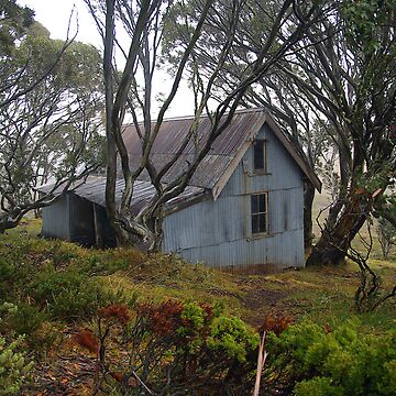 Artwork thumbnail, Cope Hut by Cole Stockman