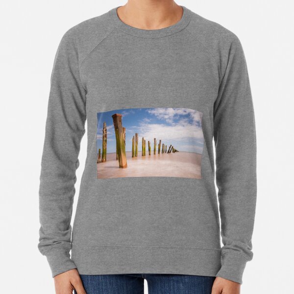 drunkmunk moletom com capuzs