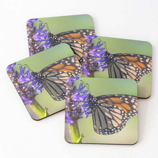 Item preview, Monarch Butterfly Profile  designed and sold by Ollivrosa.