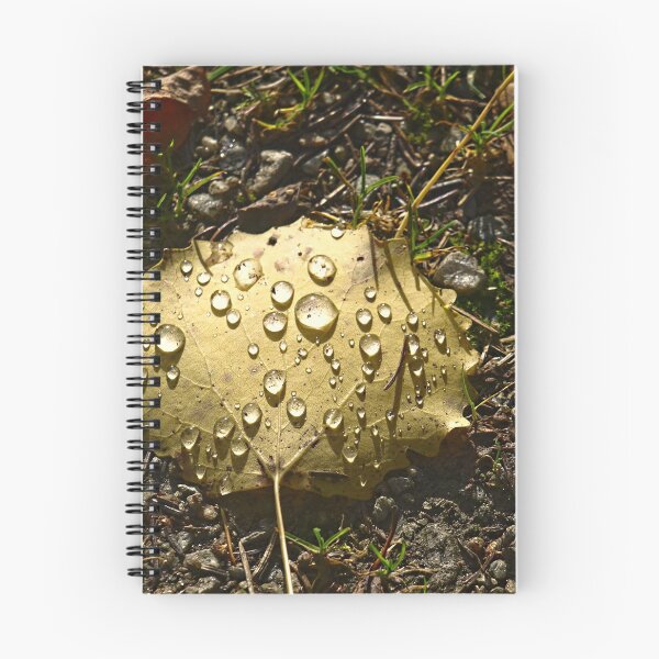 Item preview, Forest Leaf With Raindrops In Eskilns designed and sold by Barry W  King.