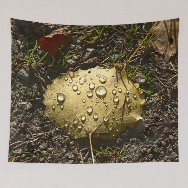 Item preview, Forest Leaf With Raindrops In Eskilns designed and sold by Barry W  King.