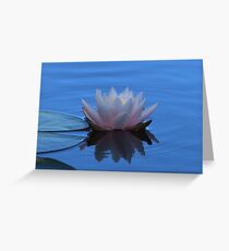 Water Lily Grußkarte