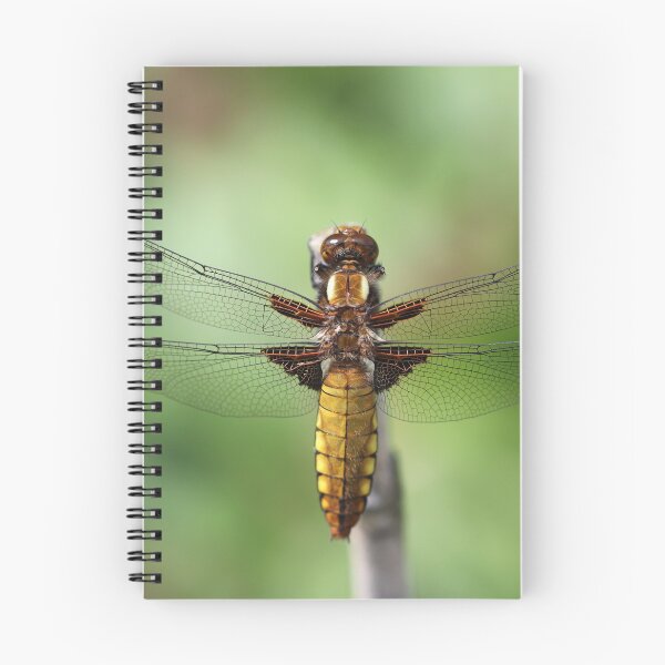Item preview, Broad-bodied Chaser 2019 designed and sold by cuprum.