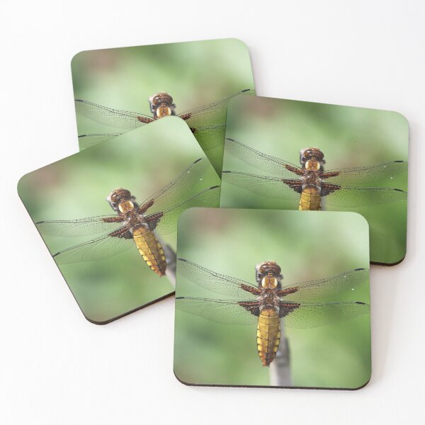 Item preview, Broad-bodied Chaser 2019 designed and sold by cuprum.