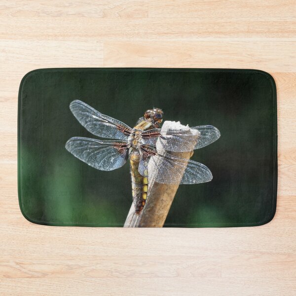 Item preview, The Broad-bodied Chaser designed and sold by cuprum.