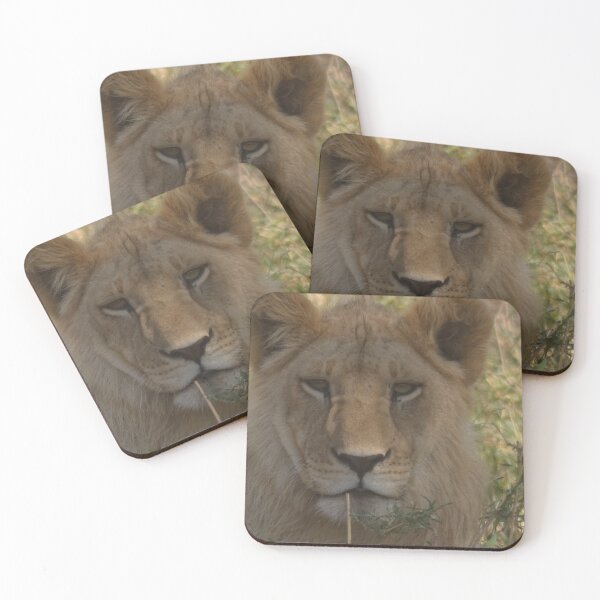 Item preview, Young Lion designed and sold by bustrama.