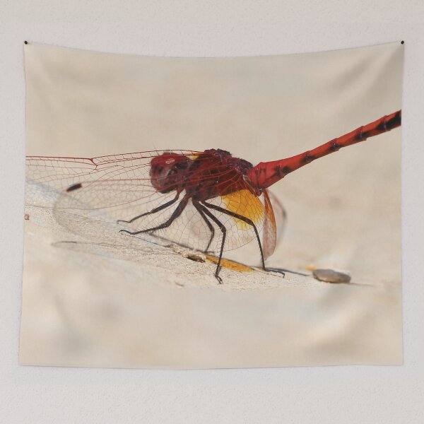 Item preview, A nice sunny spot designed and sold by cuprum.