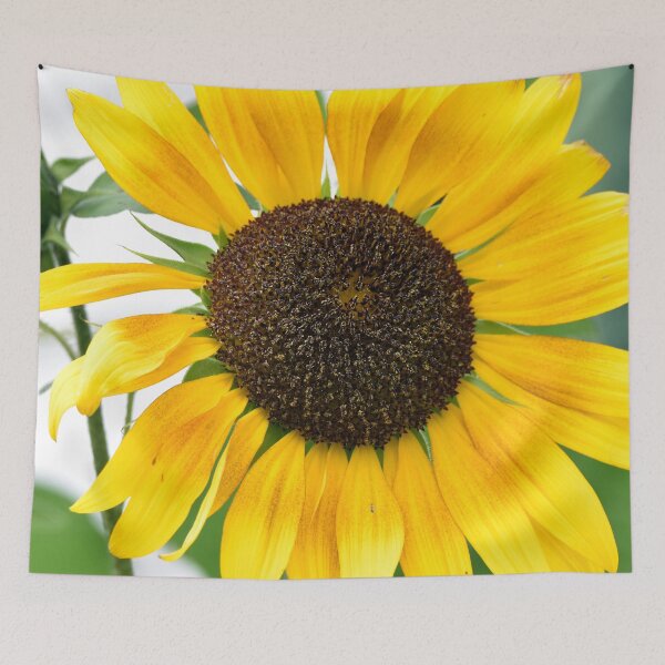 Item preview, Sunflower designed and sold by Maureen Zaharie.