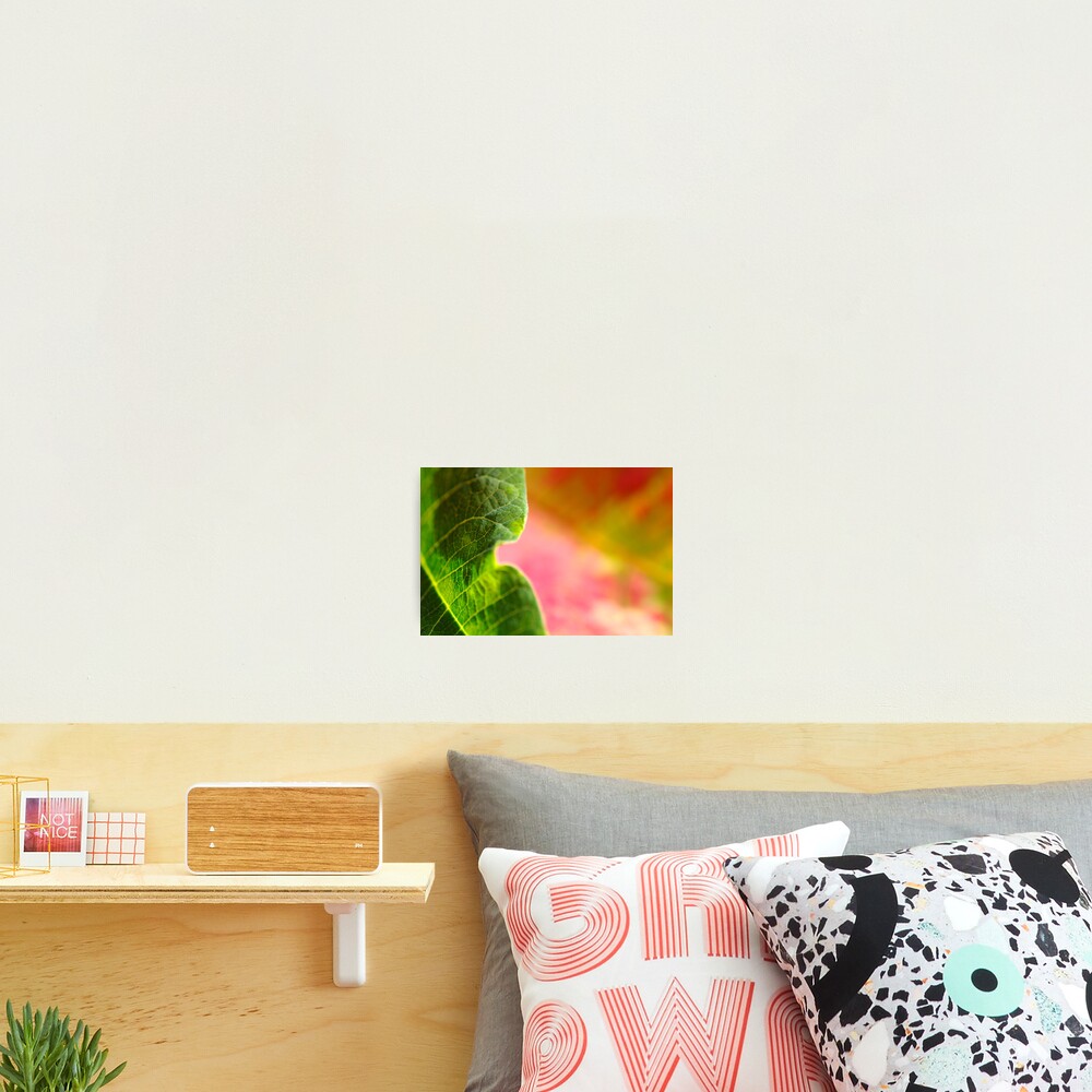 Item preview, Photographic Print designed and sold by Jessticulate.