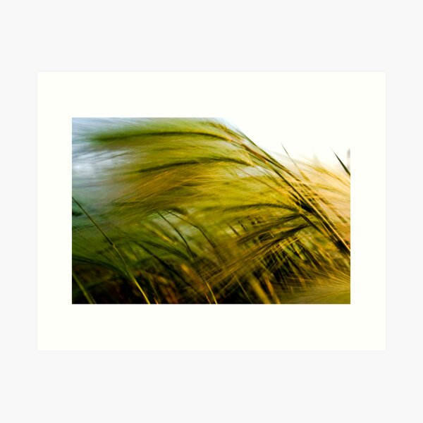 blown away Art Print