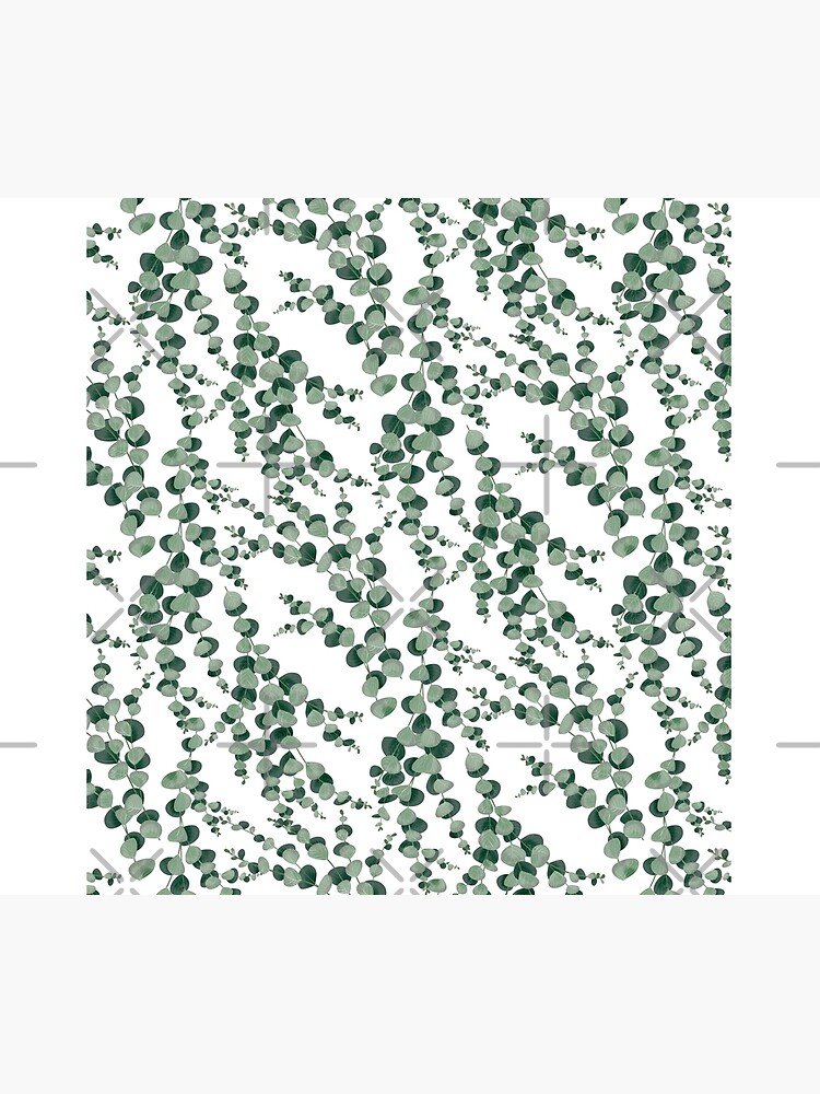 Eucalyptus leaves in white by blursbyai