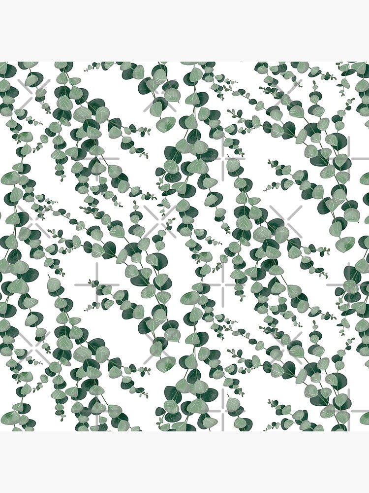 Eucalyptus leaves in white by blursbyai
