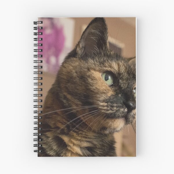 Item preview, Purrfect! designed and sold by DiplodocusOne.
