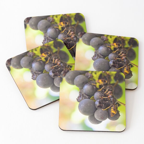 Item preview, Asian wasps designed and sold by luilli.