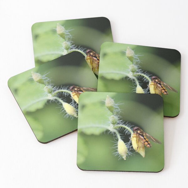 Item preview, Hoverfly on Greater celandine designed and sold by cuprum.