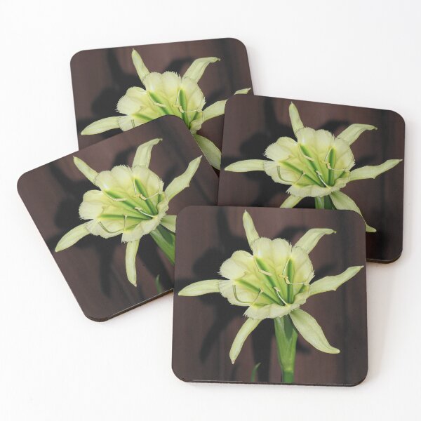 Item preview, Ismene - Sulphur Queen (Peruvian daffodil) designed and sold by Sharon Perrett.