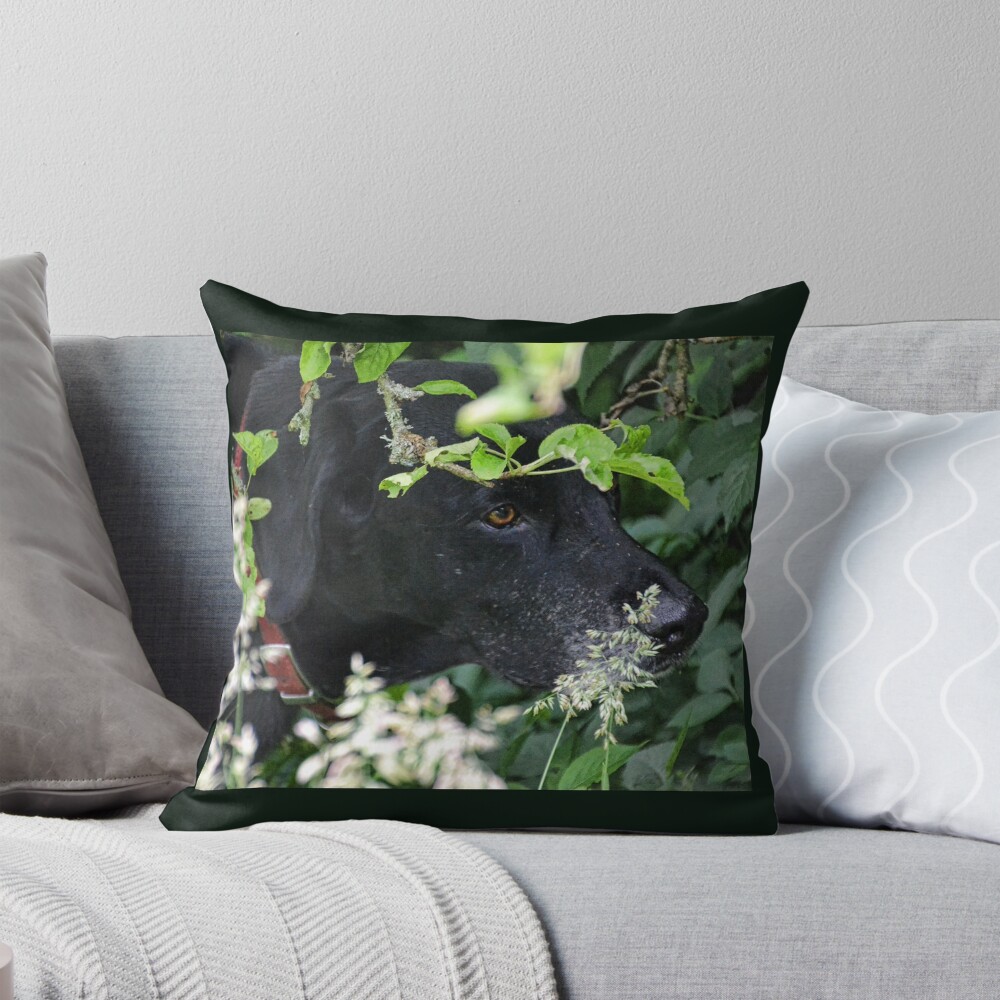 Item preview, Throw Pillow designed and sold by lynn45.