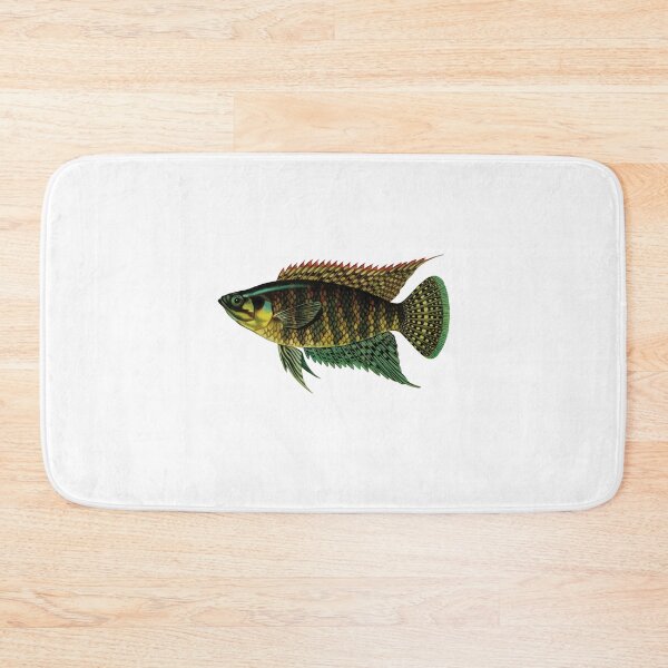 Item preview, Fish Art - banded bushfish - Vintage Print designed and sold by Studio66Designs.