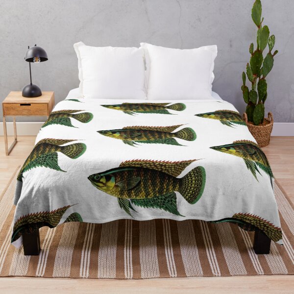 Item preview, Fish Art - banded bushfish - Vintage Print designed and sold by Studio66Designs.