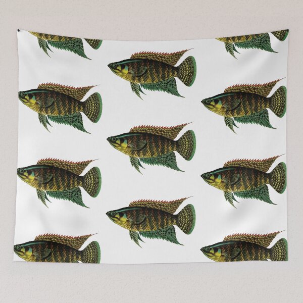 Item preview, Fish Art - banded bushfish - Vintage Print designed and sold by Studio66Designs.