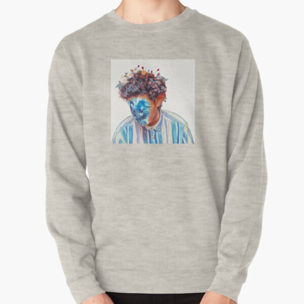 The Fall of Hobo Johnson - Hobo Johnson Pullover Sweatshirt