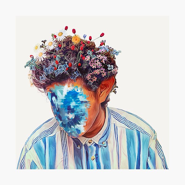 The Fall of Hobo Johnson - Hobo Johnson Photographic Print