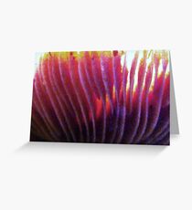 Blowing in the wind... Greeting Card