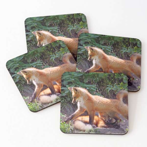 Item preview, Fox kits designed and sold by JuniperMT.