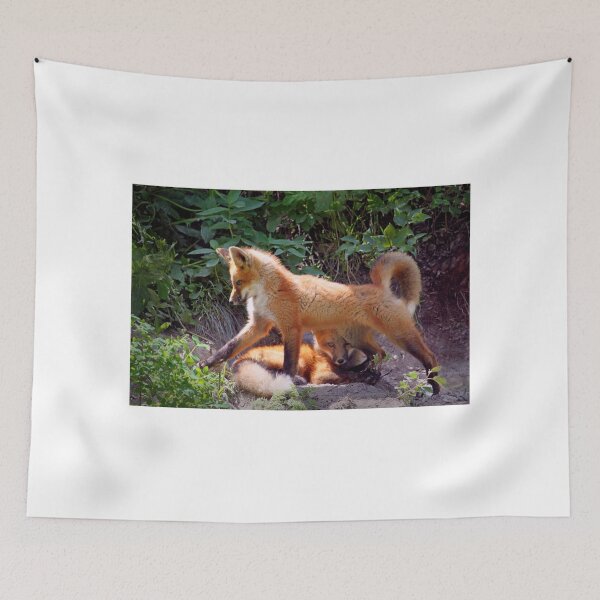 Item preview, Fox kits designed and sold by JuniperMT.